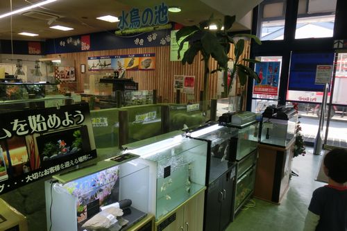 ペットエキスポ 西尾店 子供の遊び場 愛知県西三河発