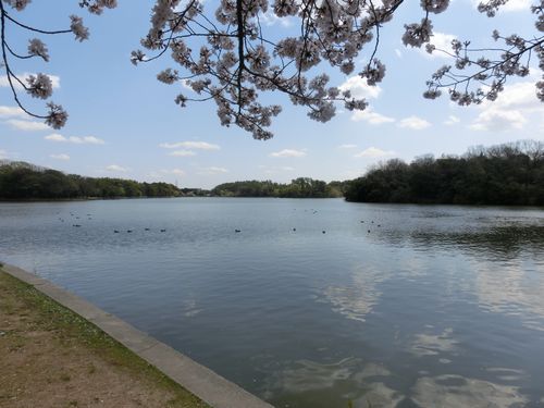 洲原公園 子供の遊び場 愛知県西三河発