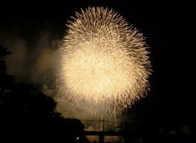 岡崎花火大会 子供の遊び場 愛知県西三河発