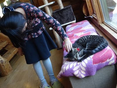 ねこらぼ 子供の遊び場 愛知県西三河発